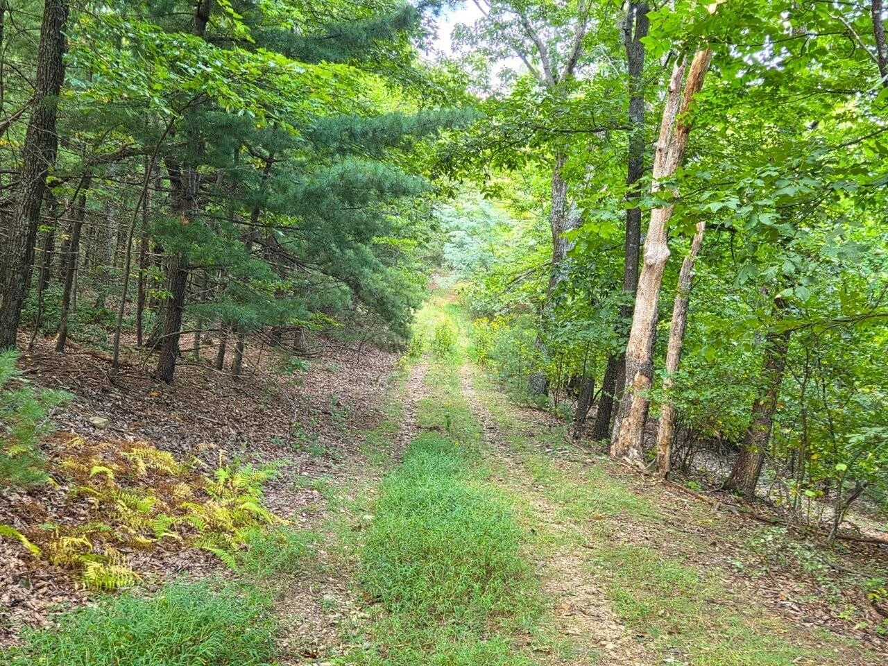 0 Poor Mountain RD - Photo 15