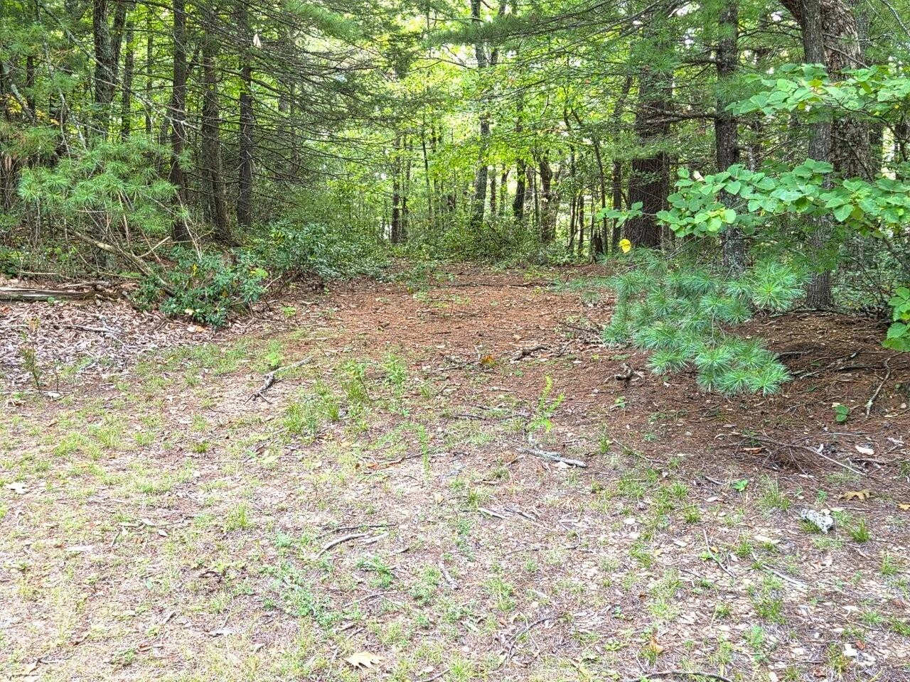 0 Poor Mountain RD - Photo 16