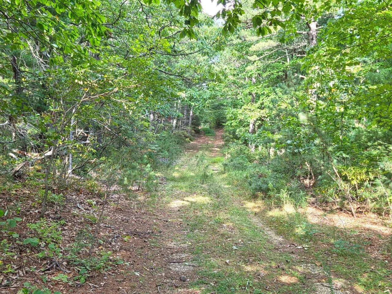 0 Poor Mountain RD - Photo 17