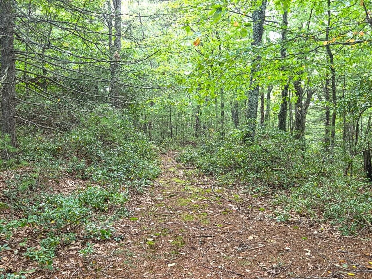 0 Poor Mountain RD - Photo 18