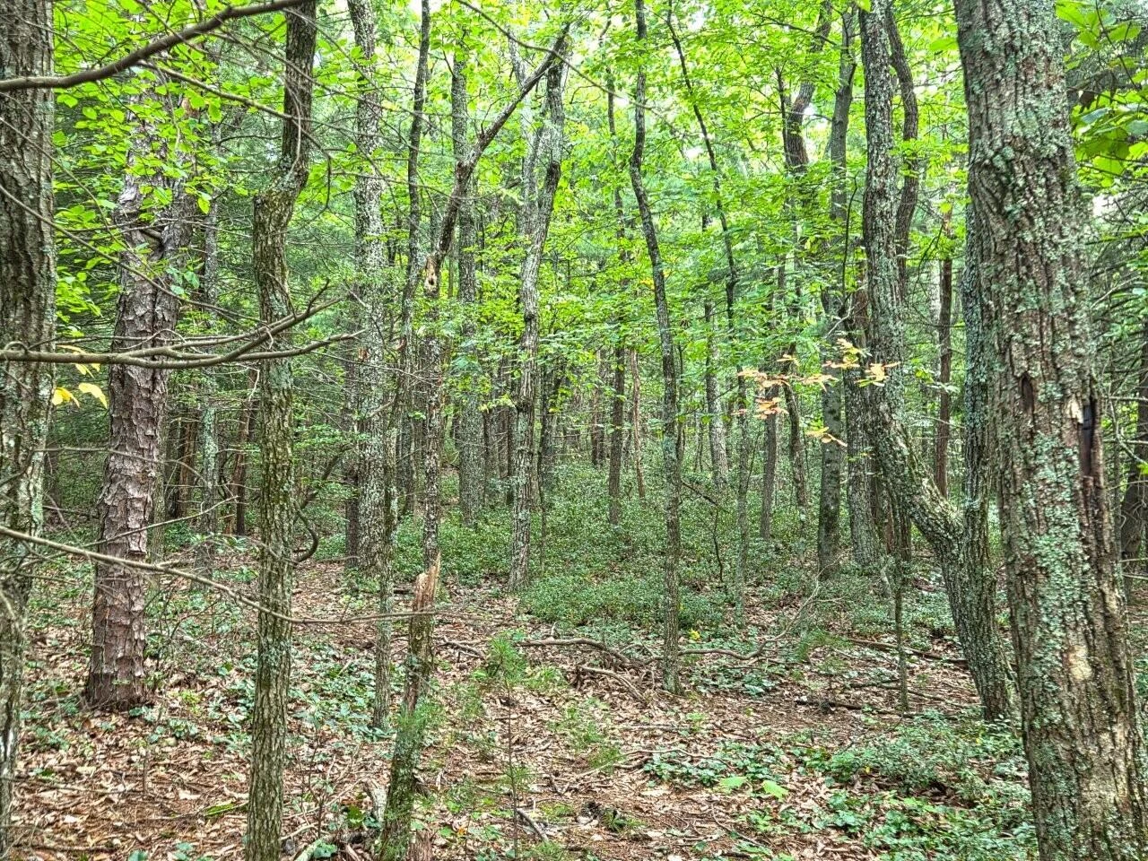 0 Poor Mountain RD - Photo 19