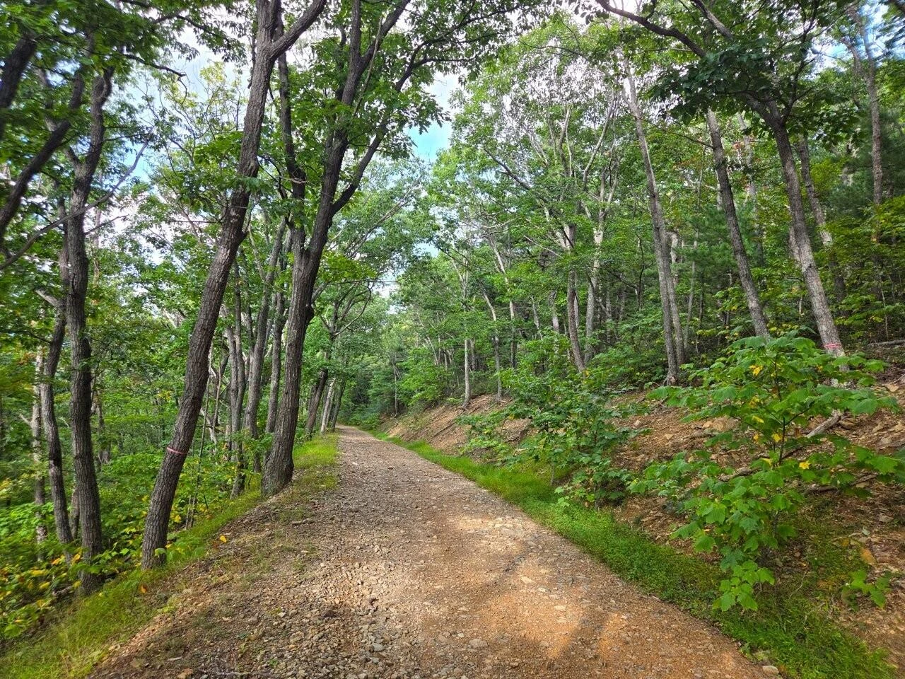0 Poor Mountain RD - Photo 23