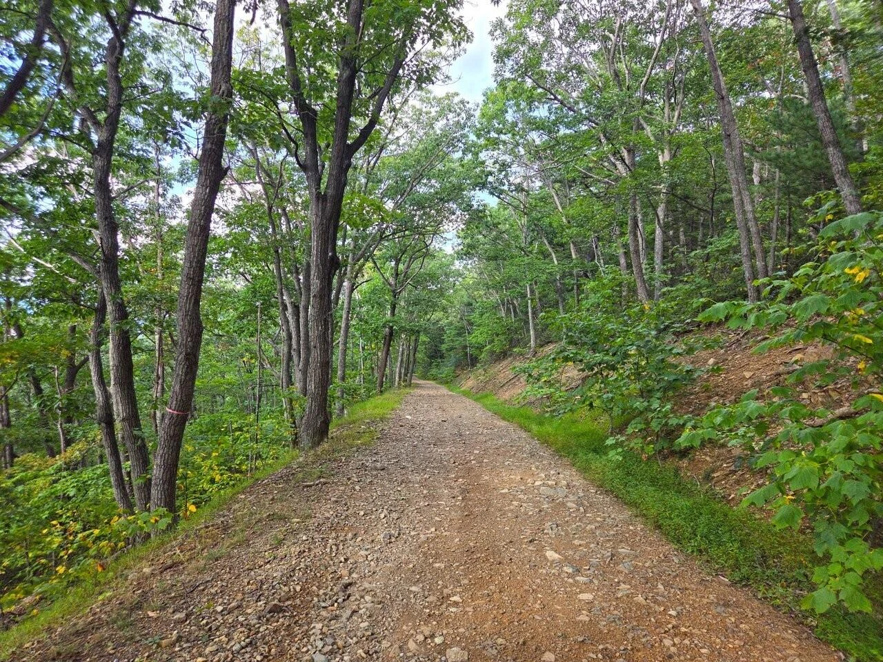0 Poor Mountain RD - Photo 24