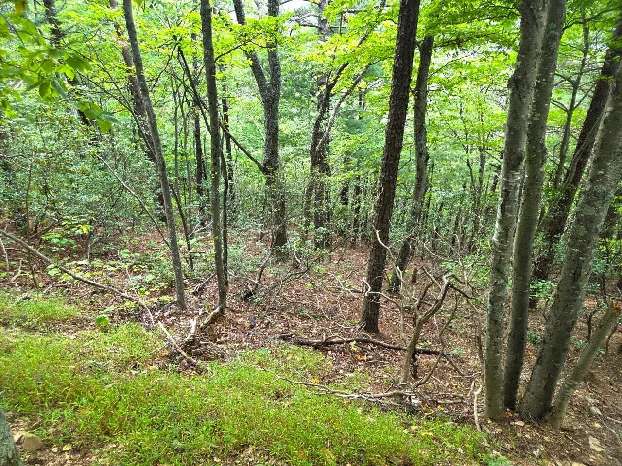 0 Poor Mountain RD - Photo 25