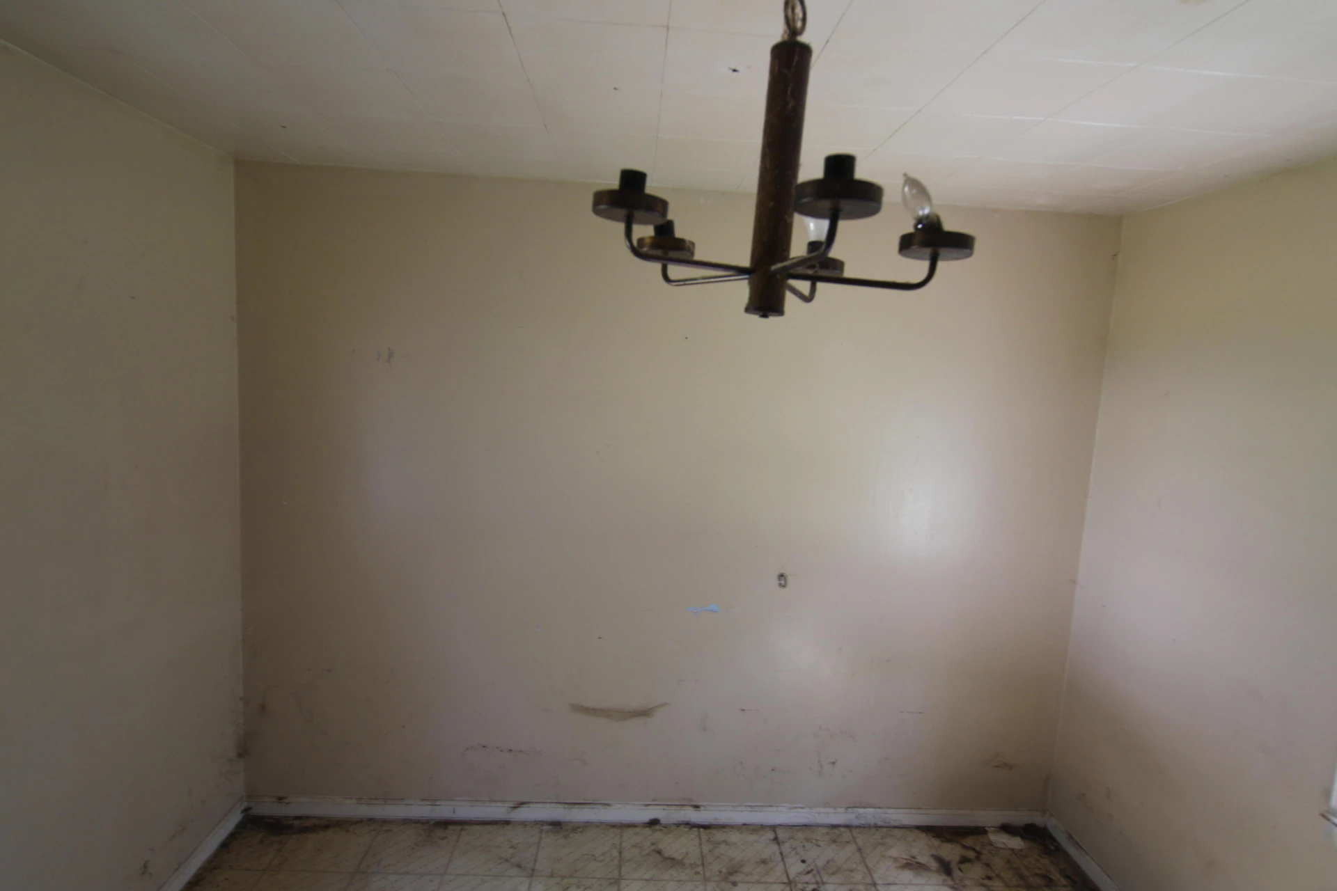 1114 13th ST SE - Photo 8