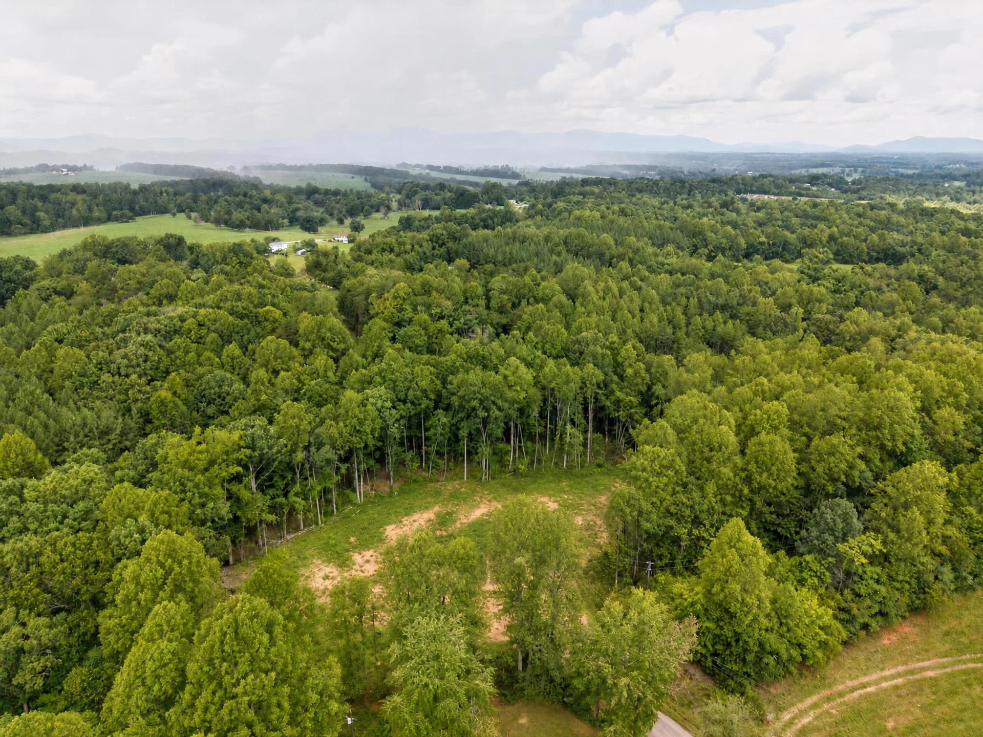 1150 Oriole CT - Photo 33
