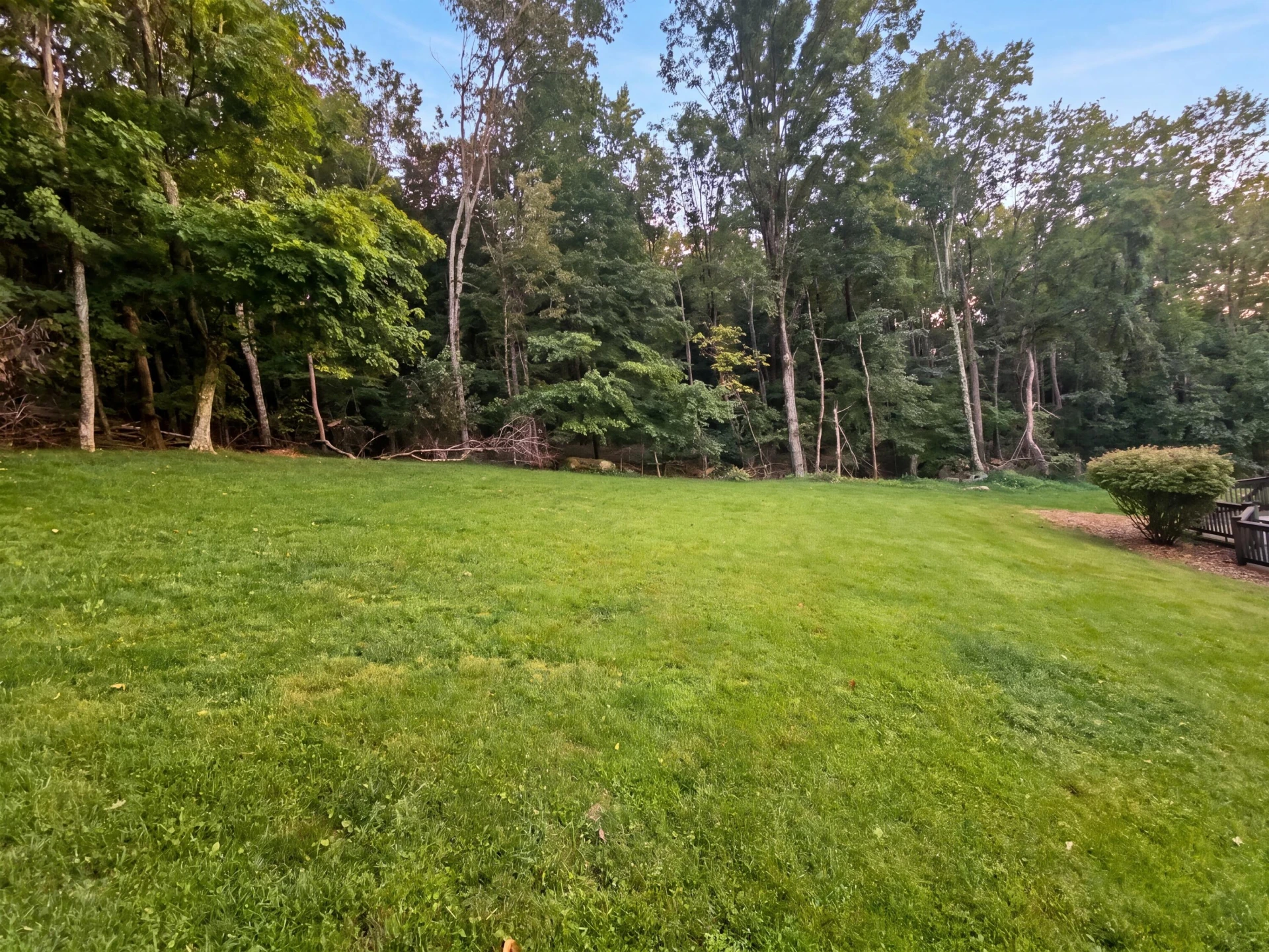 163 Bluebonnet DR - Photo 29