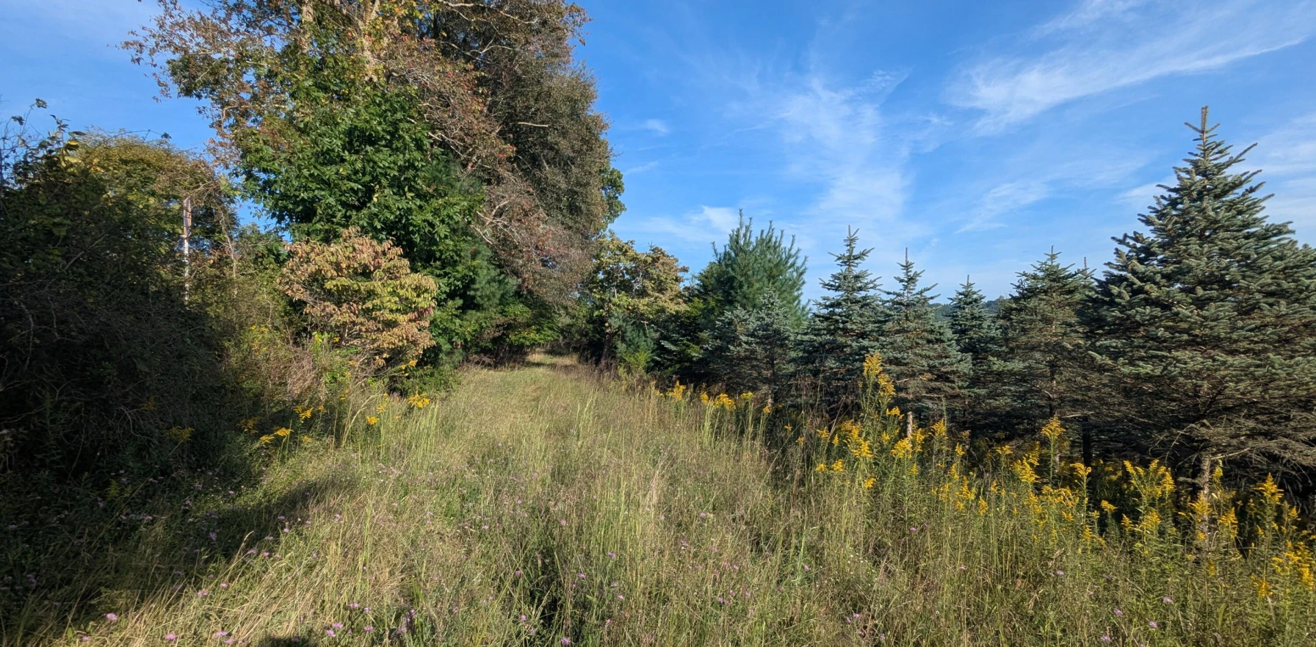 TBD High Rock Hill RD - Photo 4