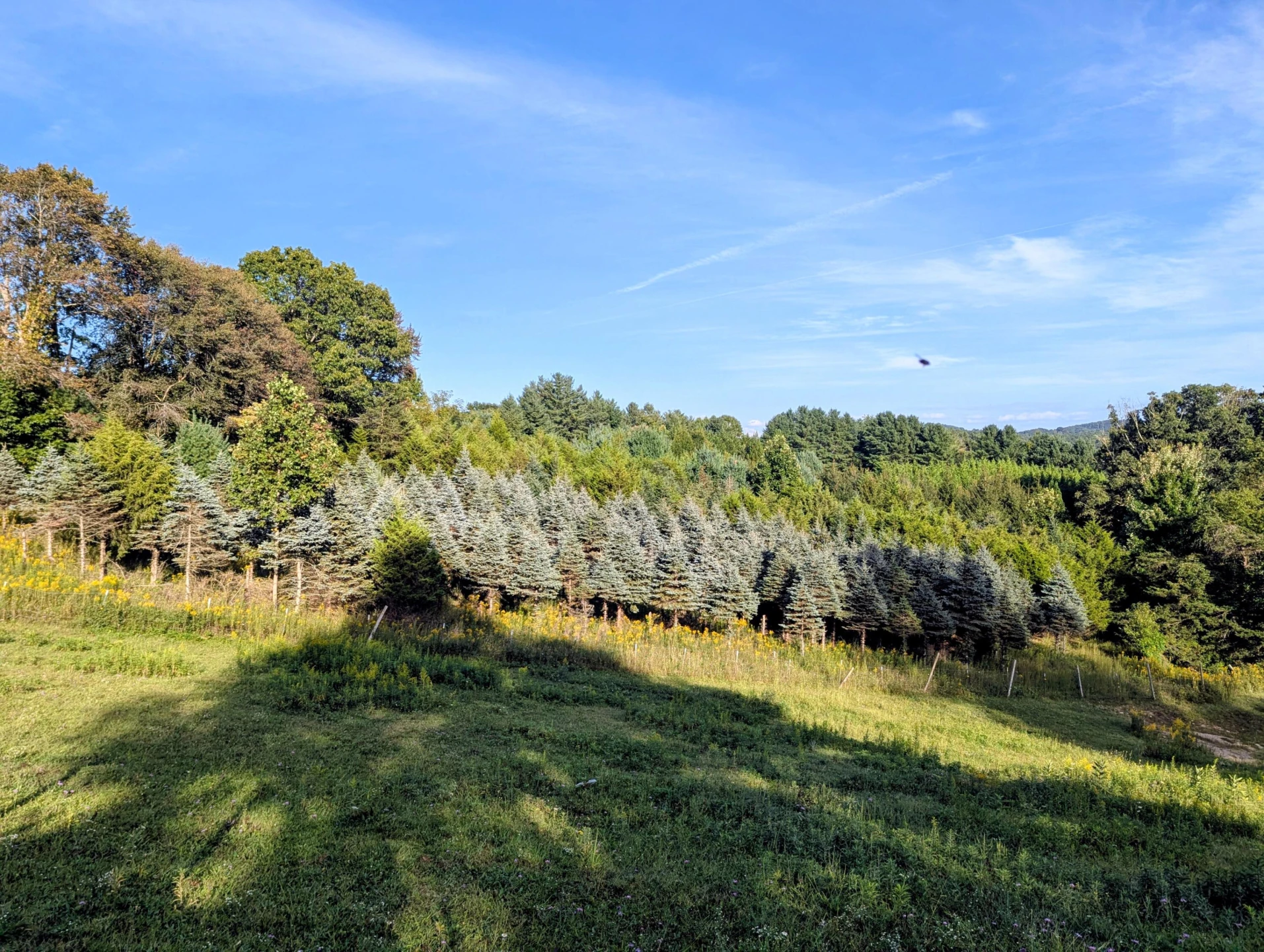 TBD High Rock Hill RD - Photo 5