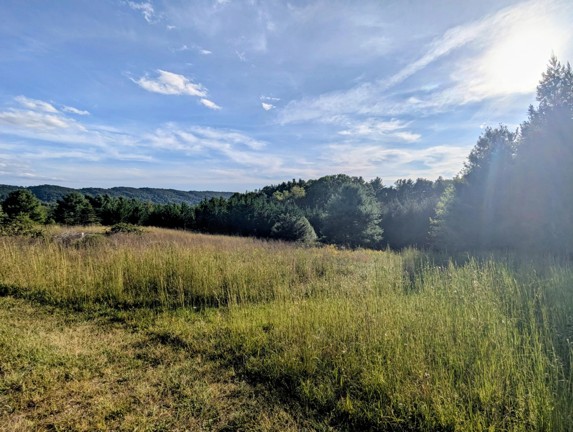 TBD High Rock Hill RD - Photo 8