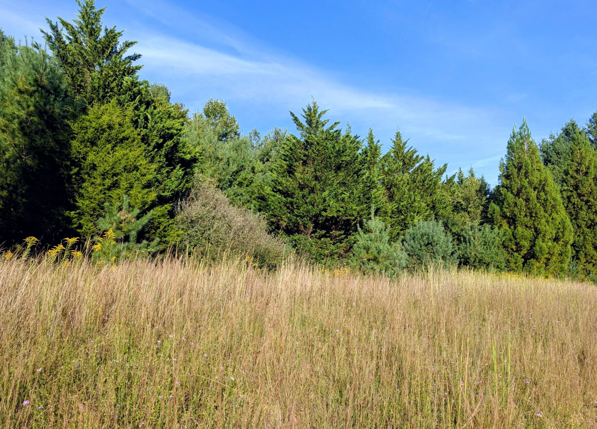 TBD High Rock Hill RD - Photo 9