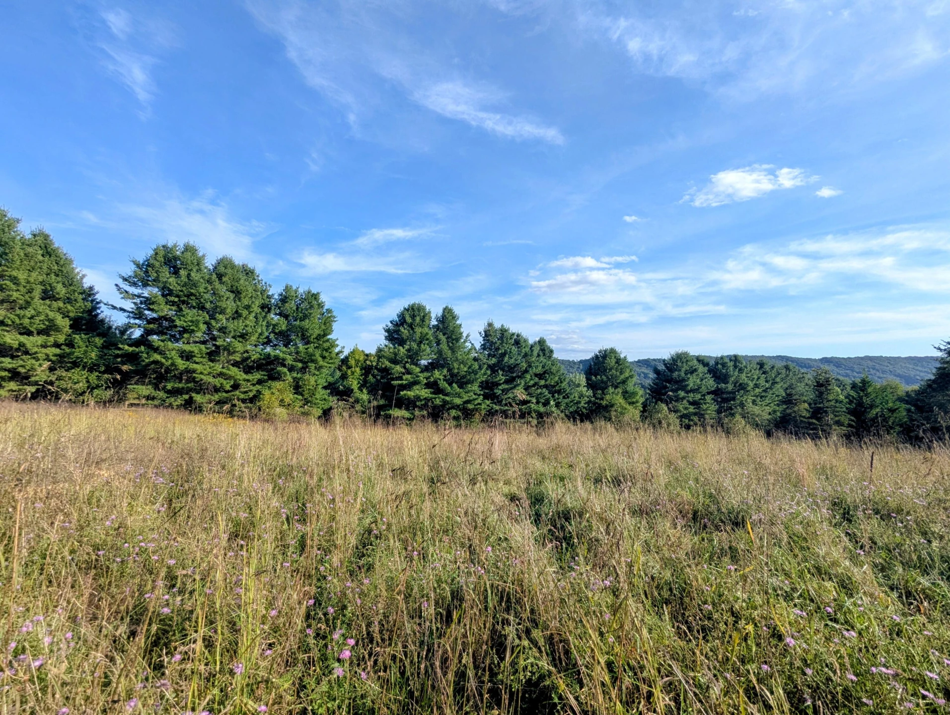 TBD High Rock Hill RD - Photo 11