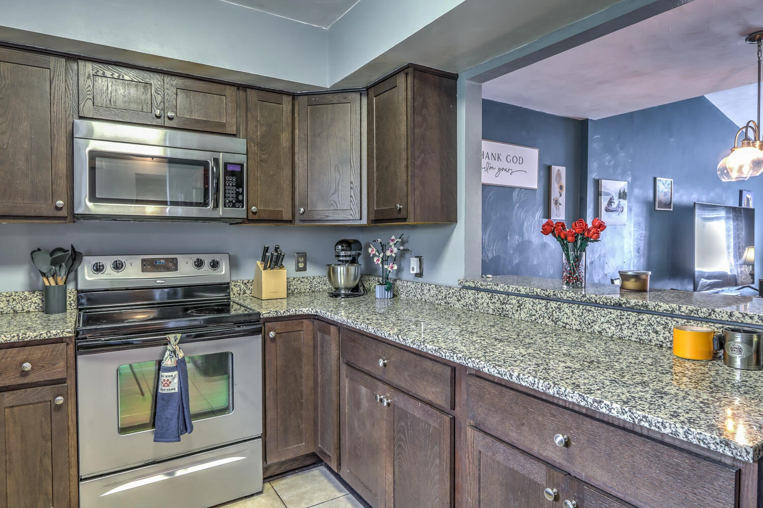 525 Dillon DR - Photo 10