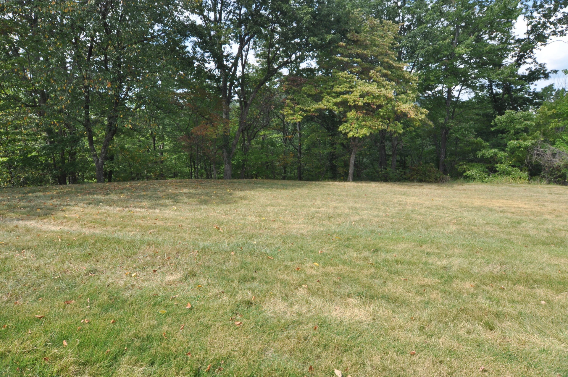 1872 Oak DR - Photo 26