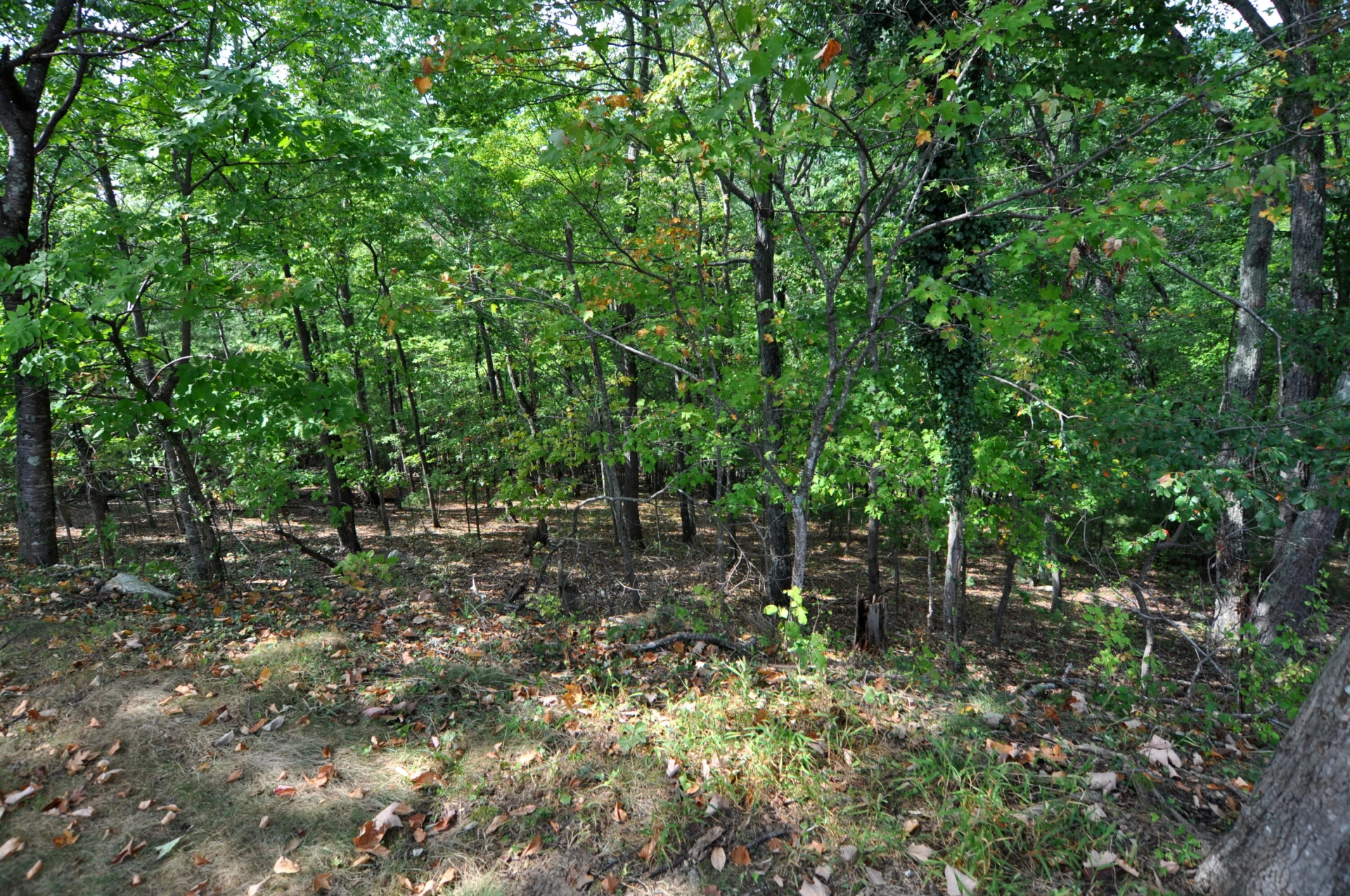 1872 Oak DR - Photo 27