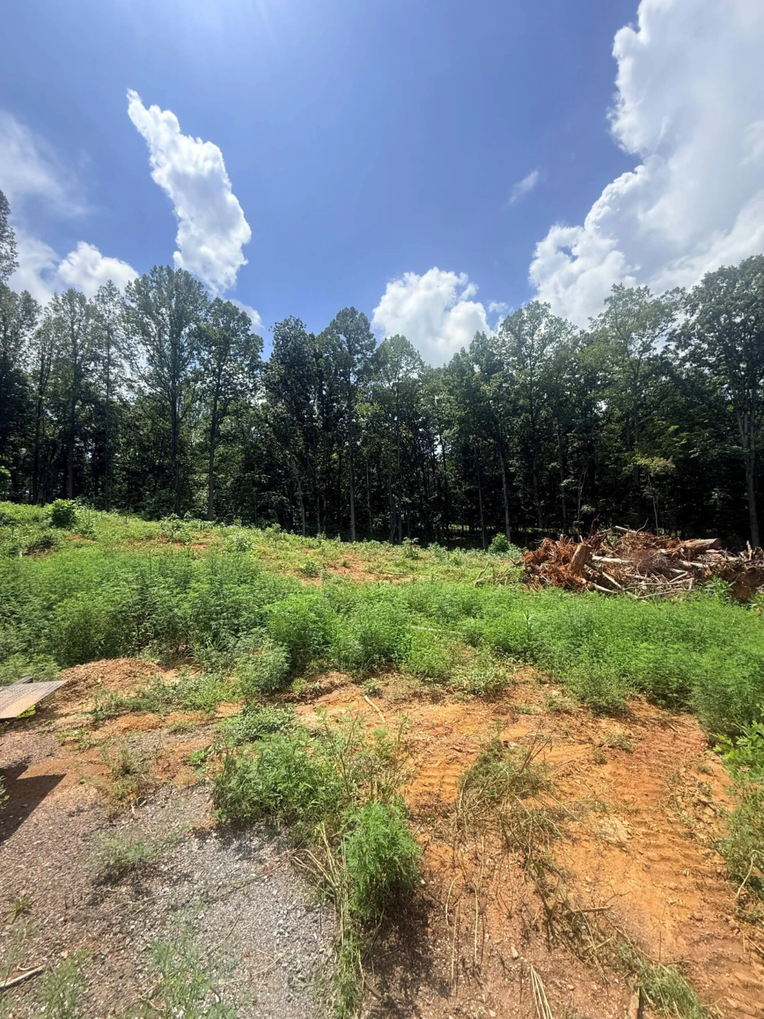 18-Lot Oriole Court
