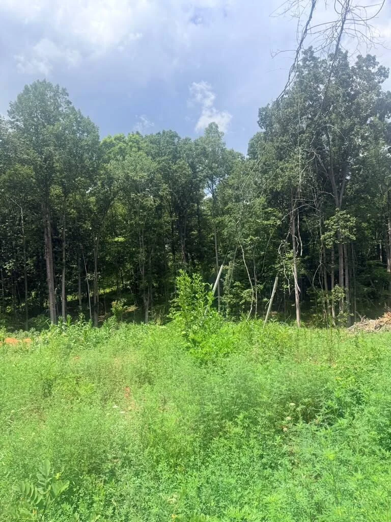 19-Lot Oriole Court