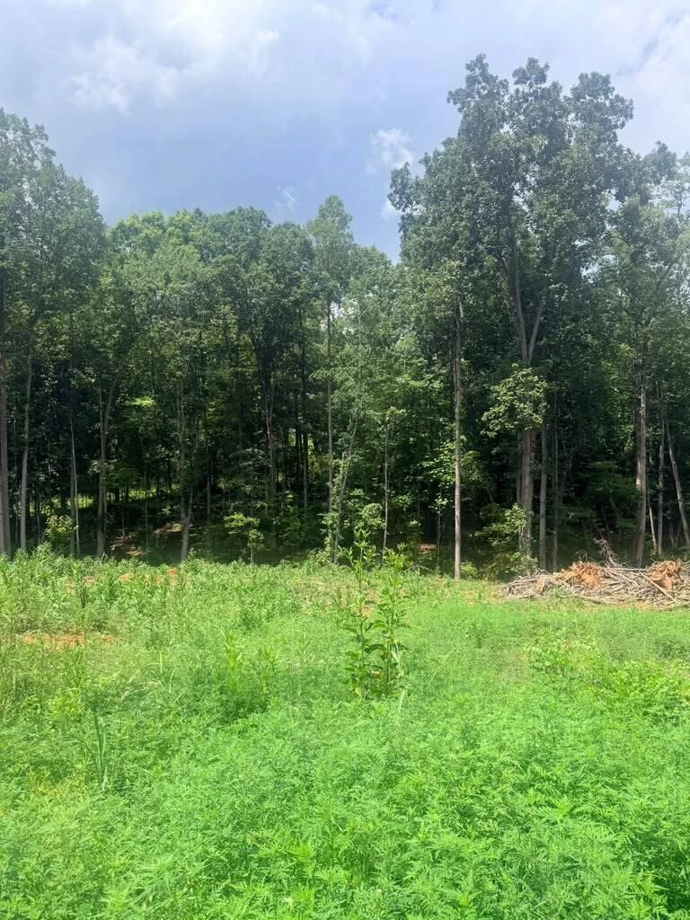 19-Lot Oriole Court - Photo 3