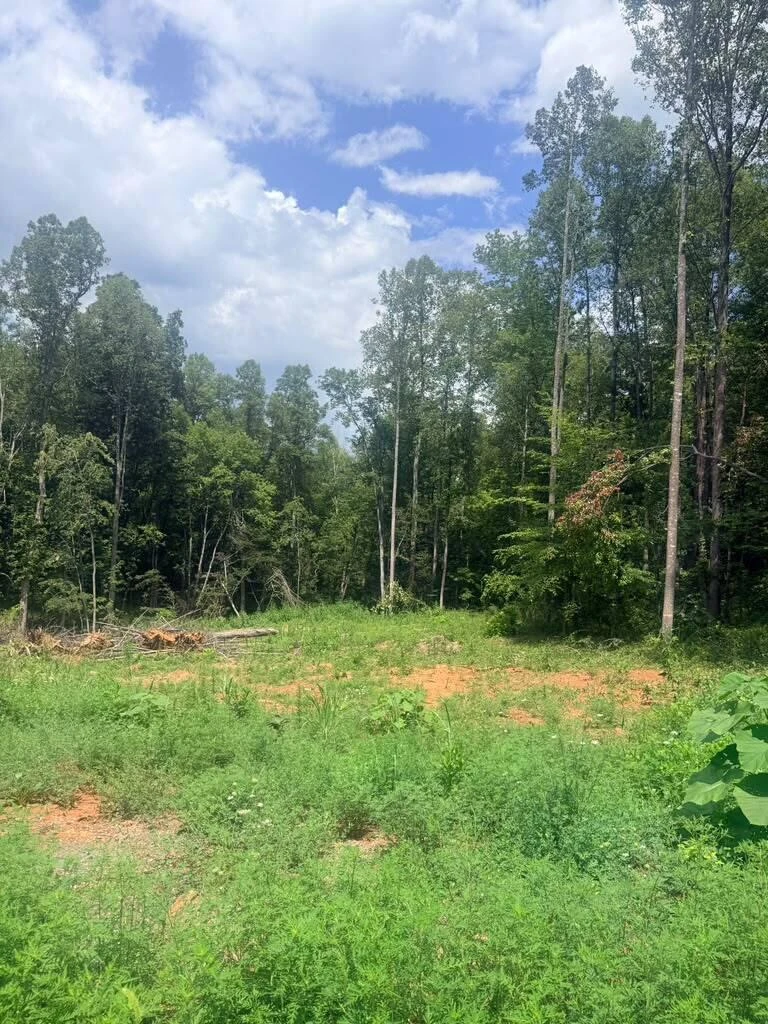19-Lot Oriole Court - Photo 4