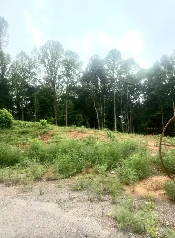 20-Lot Oriole Court, Bedford, VA, 24523