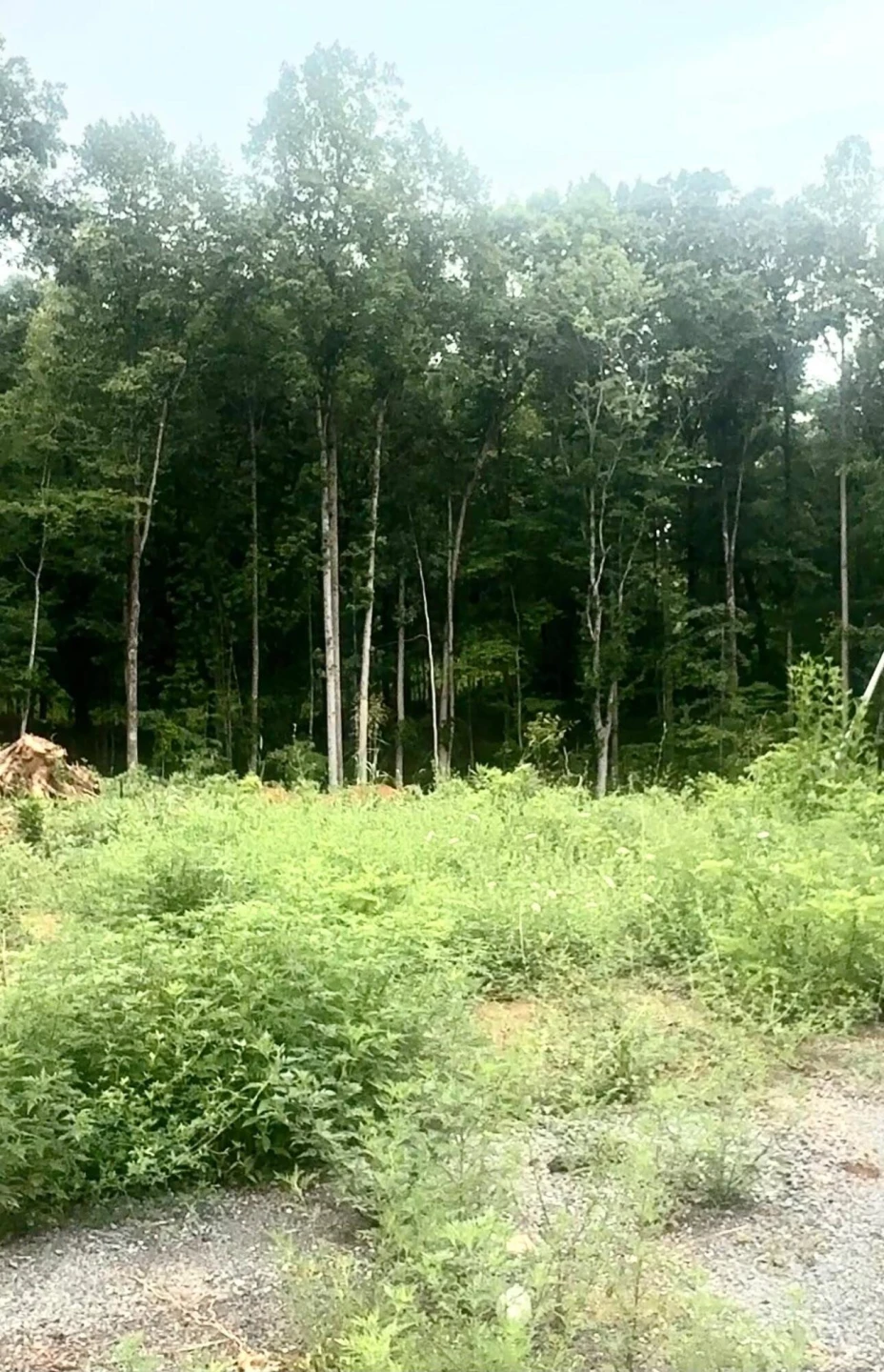 20-Lot Oriole Court - Photo 3