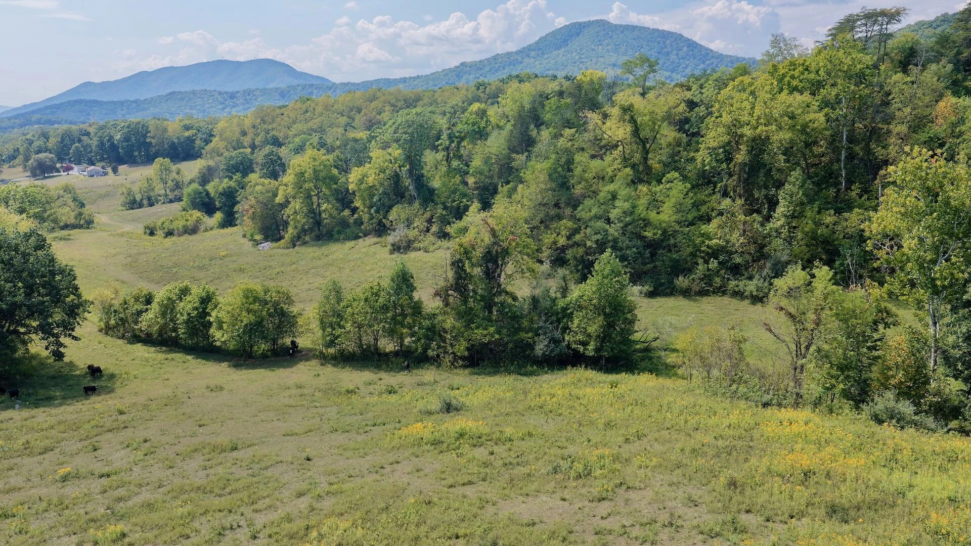 576 Alpine RD - Photo 14