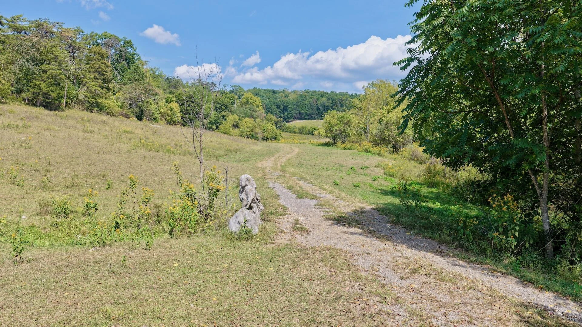 576 Alpine RD - Photo 21