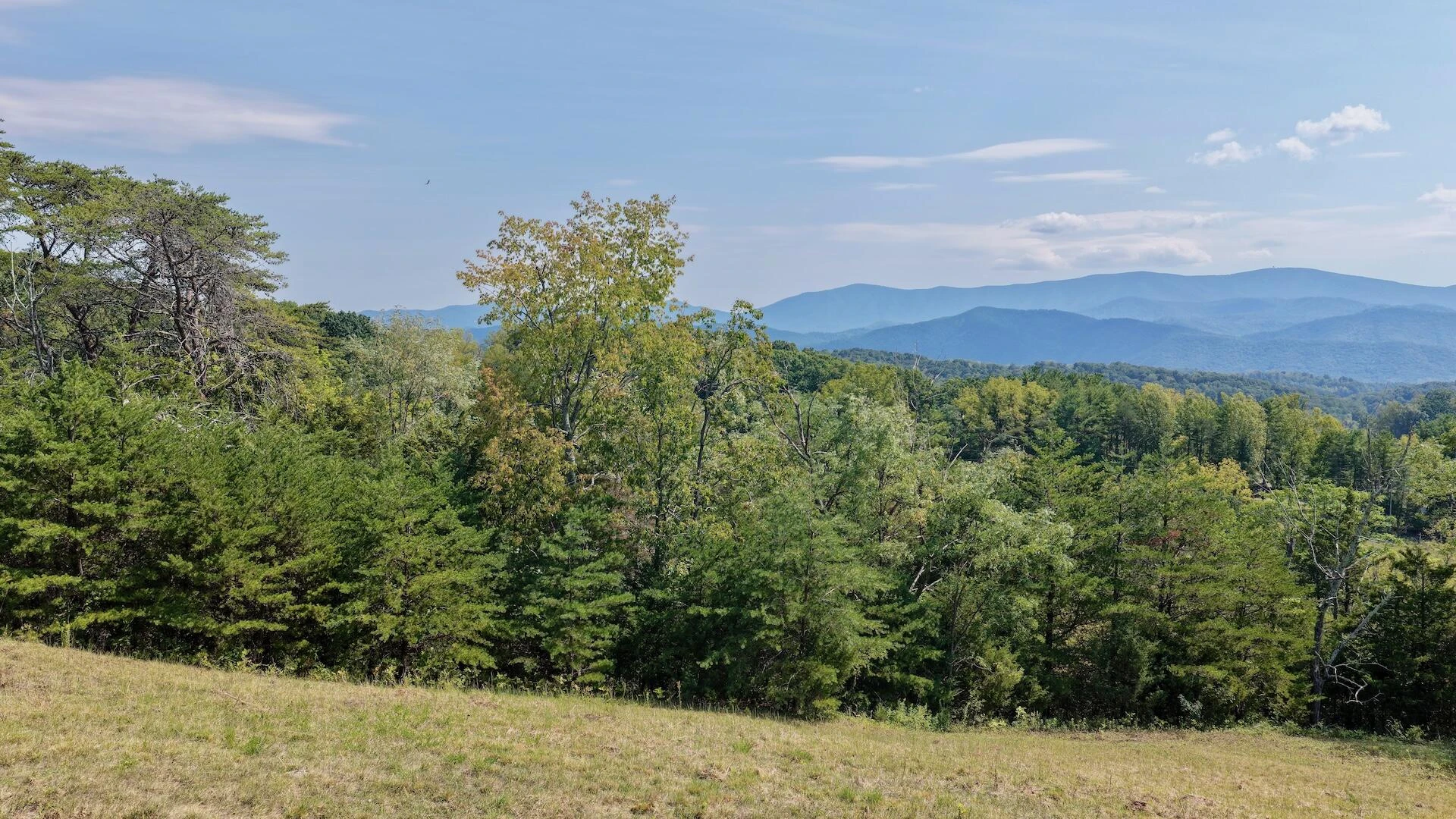 576 Alpine RD - Photo 23