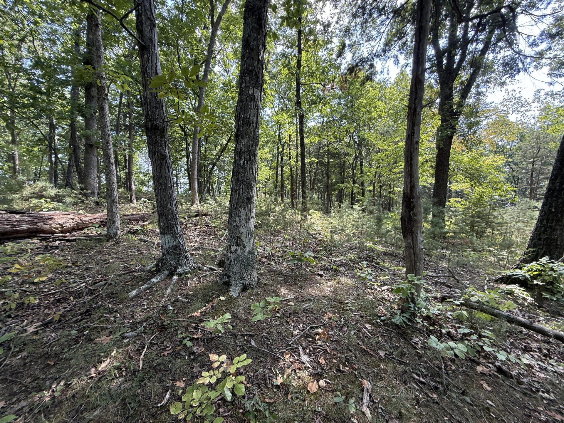 576 Alpine RD - Photo 33