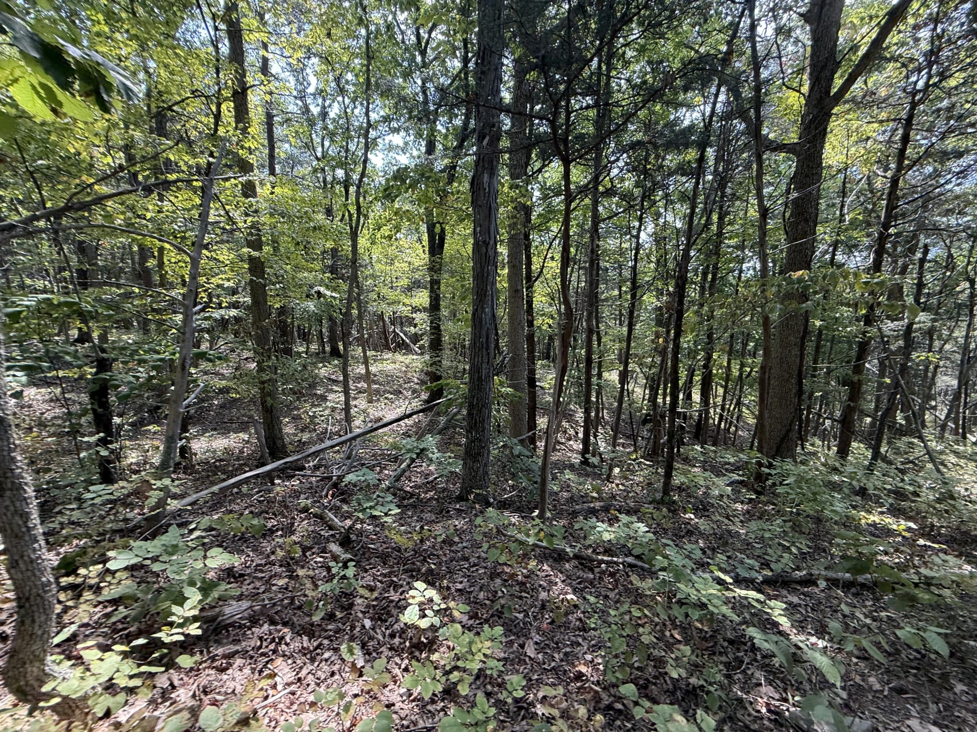 576 Alpine RD - Photo 34