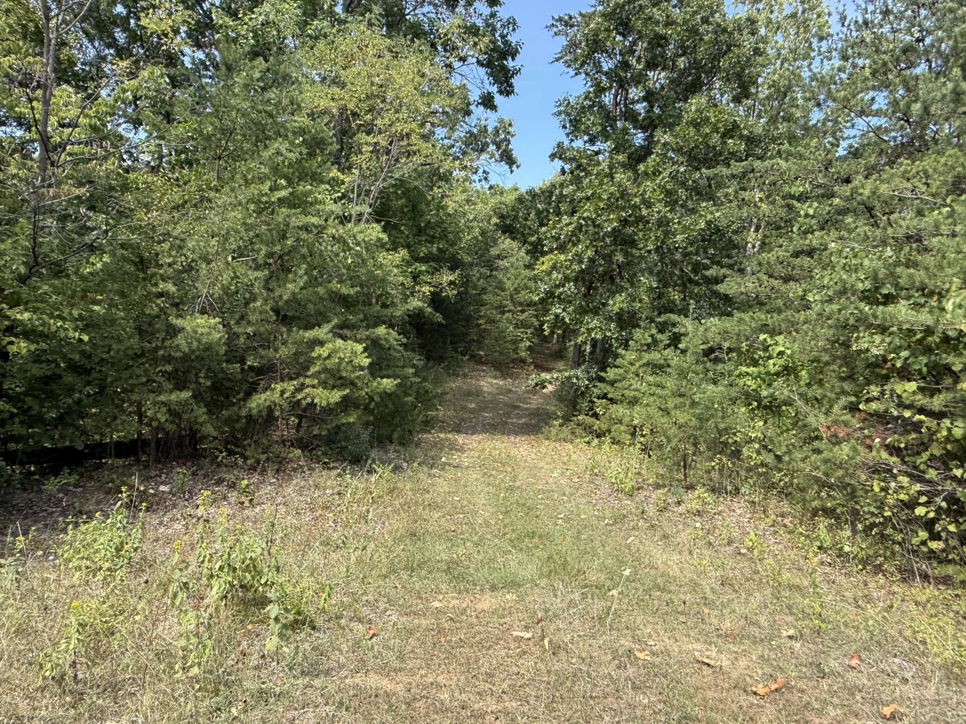576 Alpine RD - Photo 35
