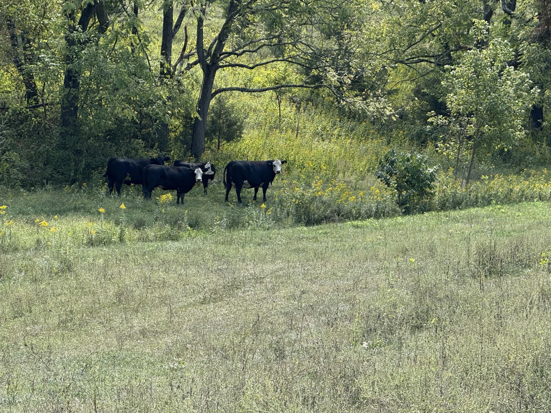 576 Alpine RD - Photo 46