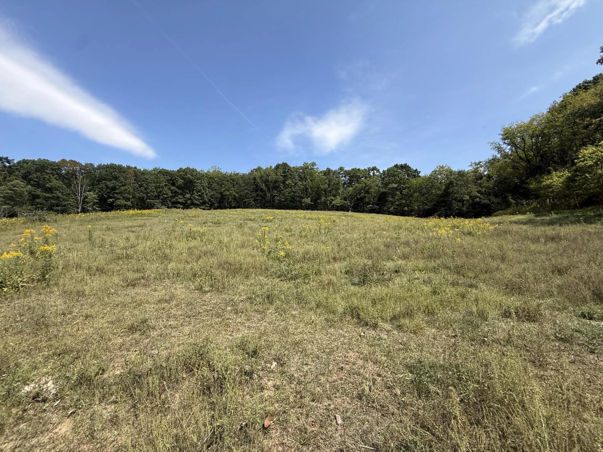 576 Alpine RD - Photo 47