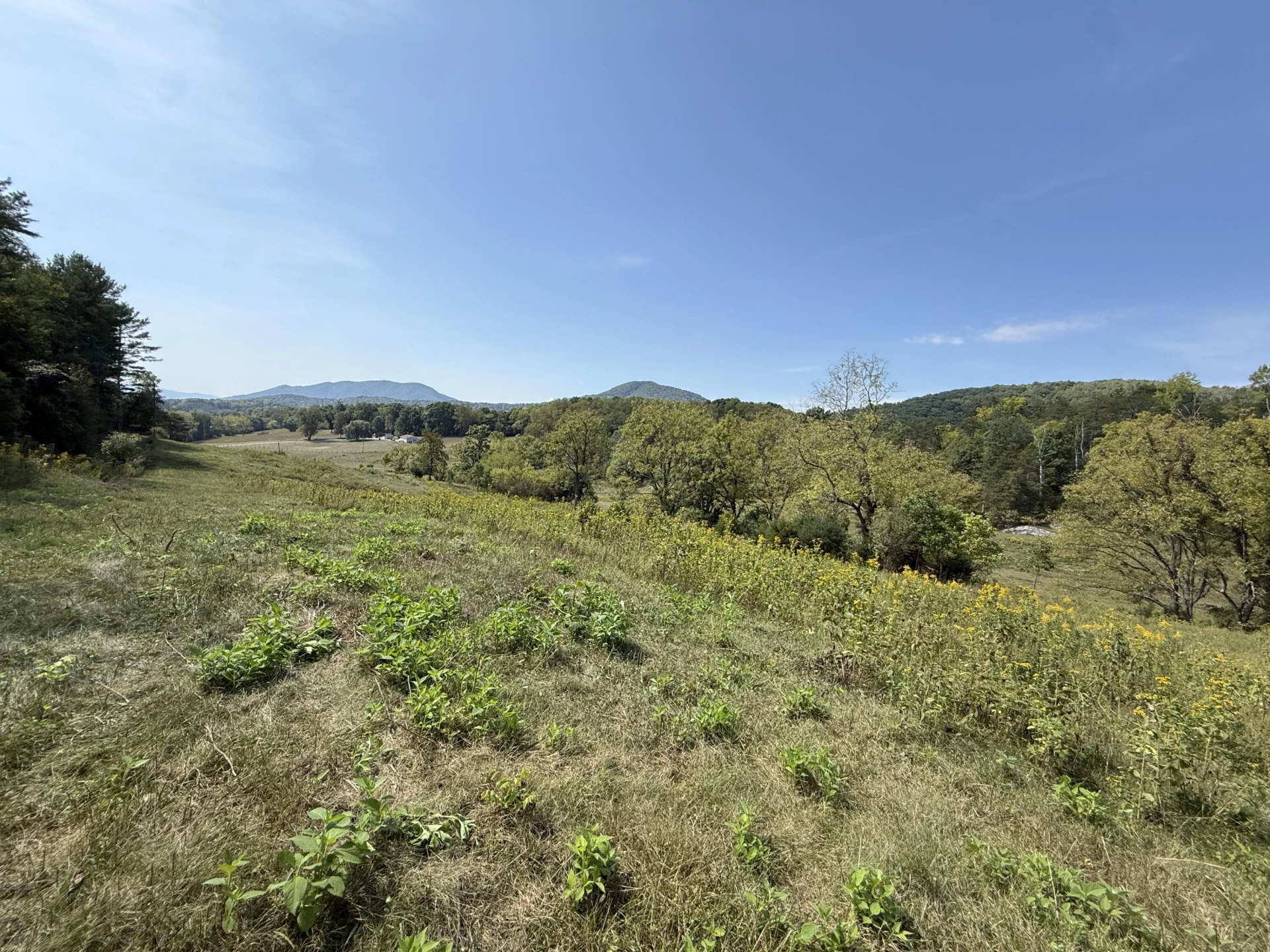 576 Alpine RD - Photo 48