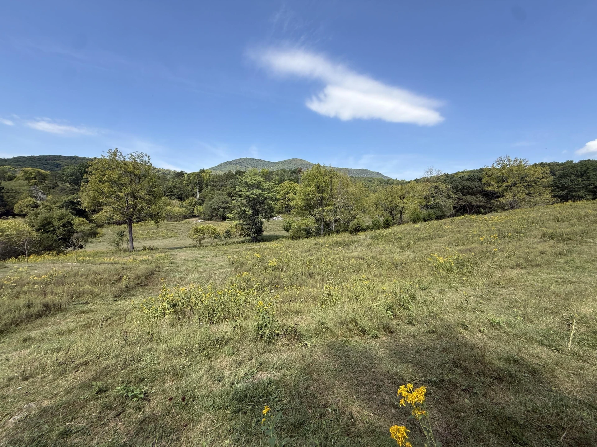 576 Alpine RD - Photo 50