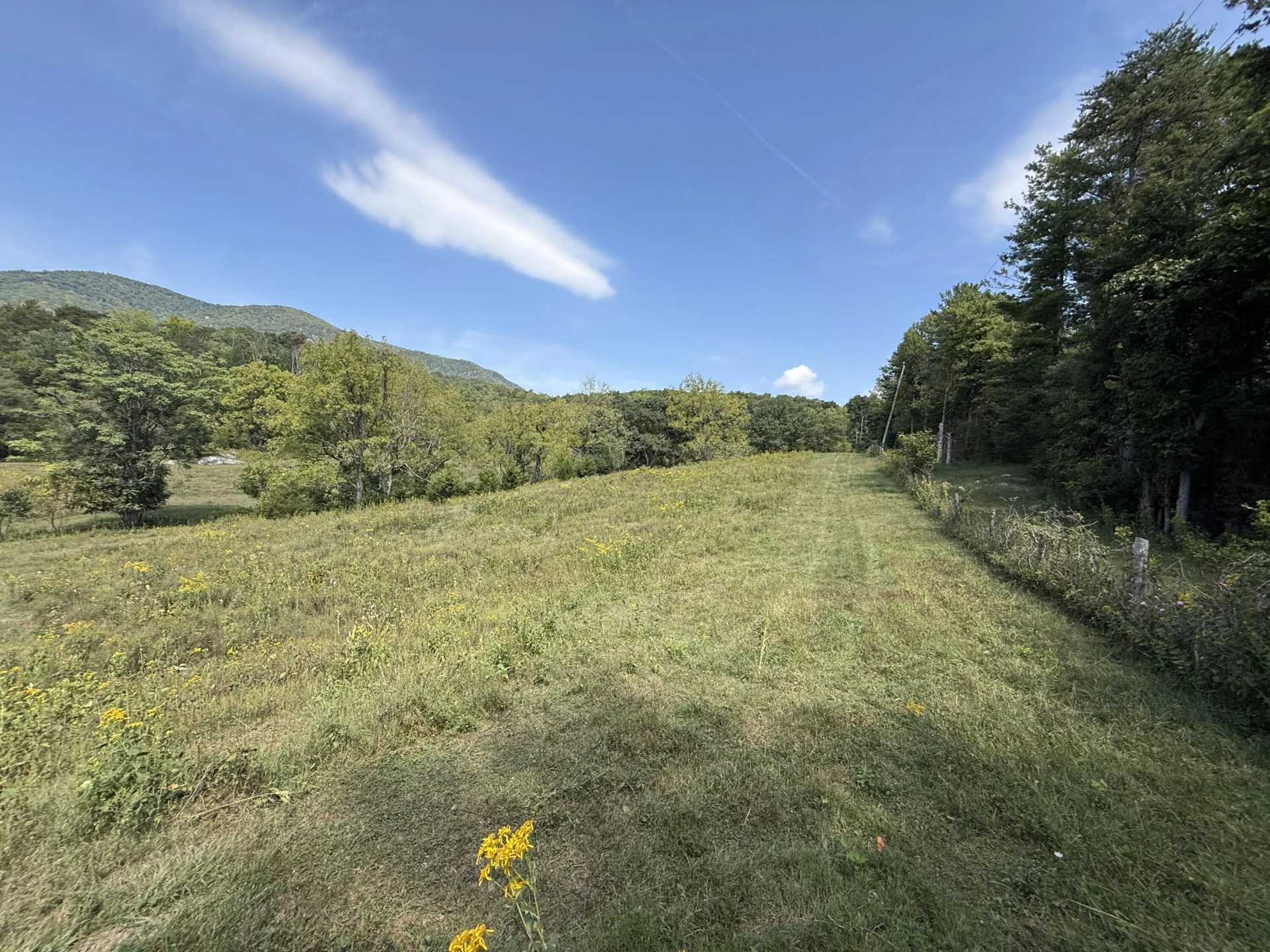 576 Alpine RD - Photo 51
