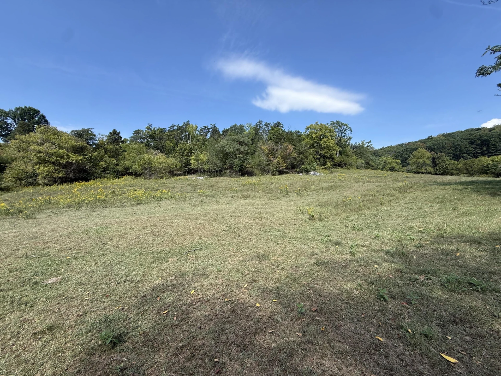 576 Alpine RD - Photo 52