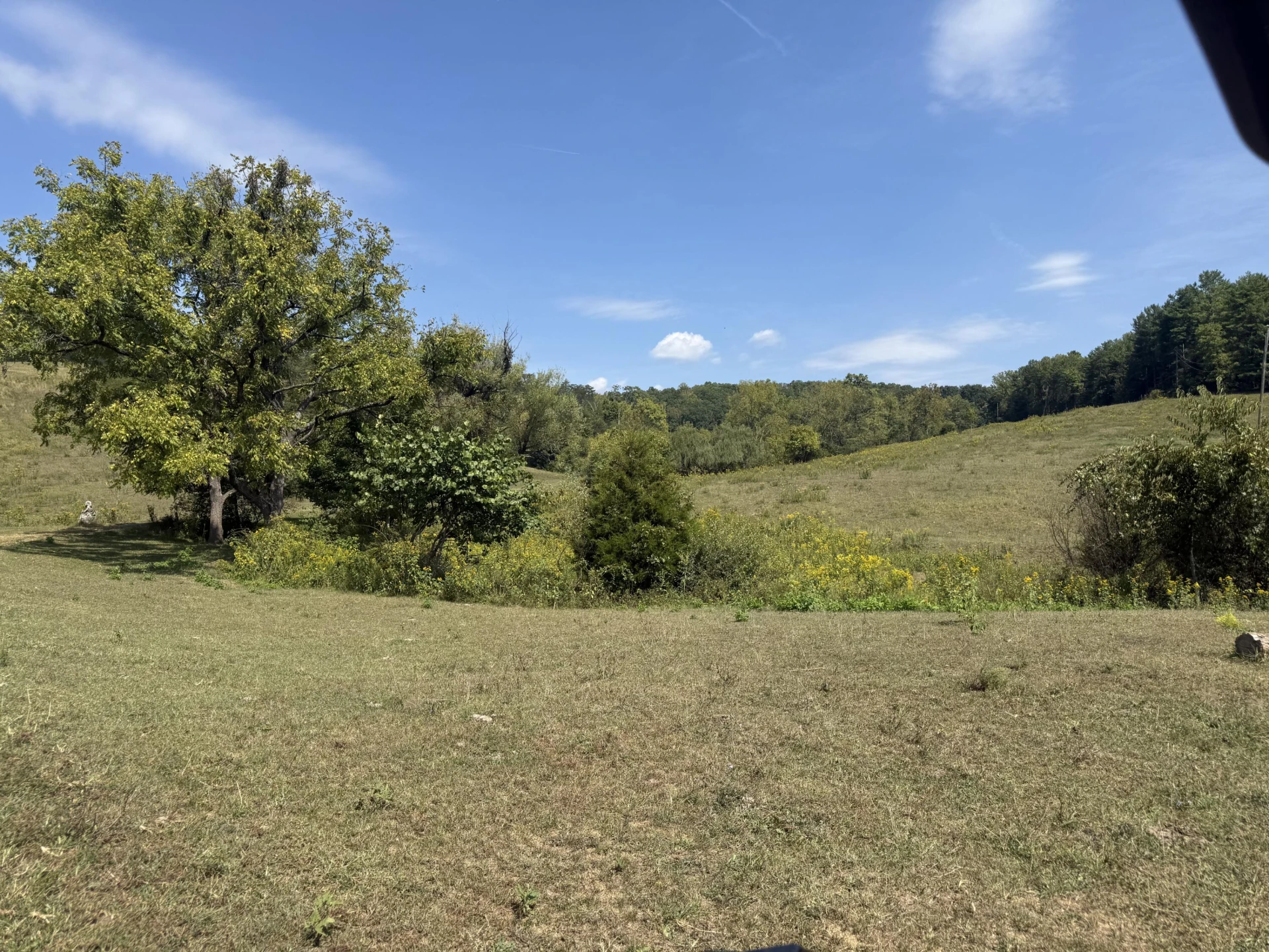 576 Alpine RD - Photo 56