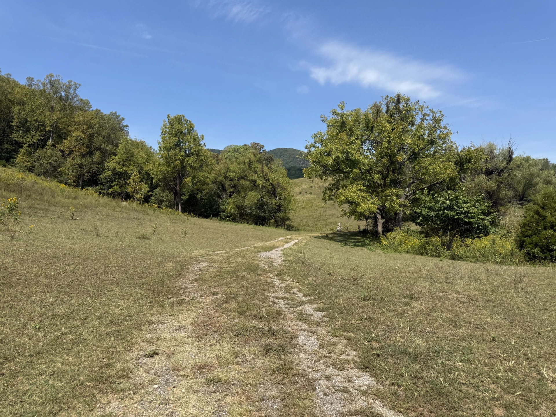 576 Alpine RD - Photo 57