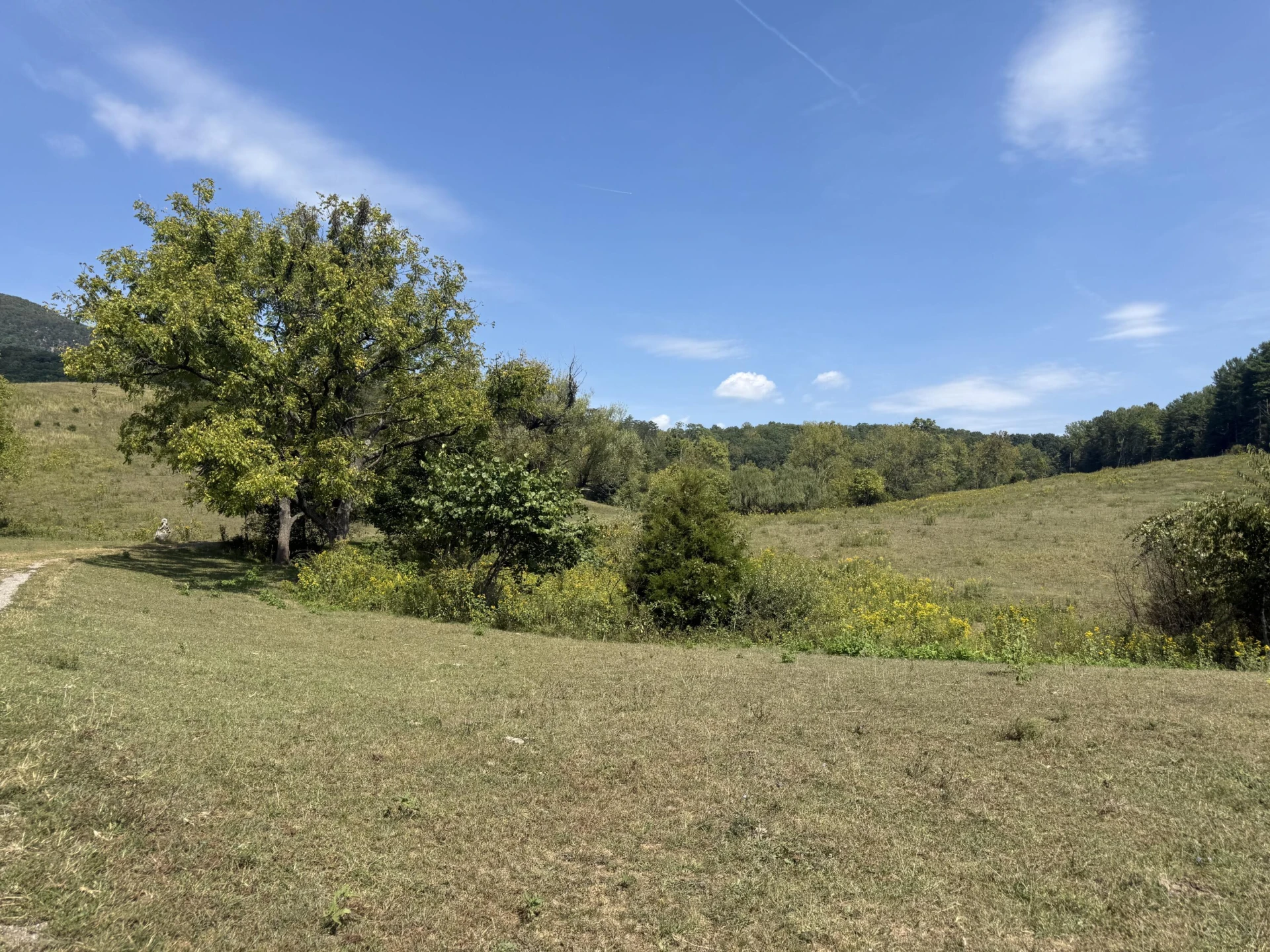 576 Alpine RD - Photo 58
