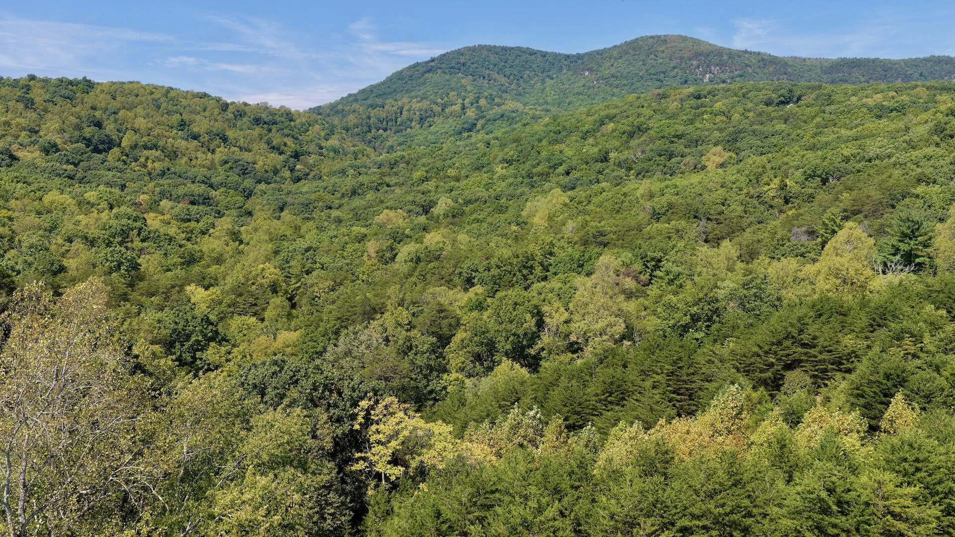 576 Alpine RD - Photo 66