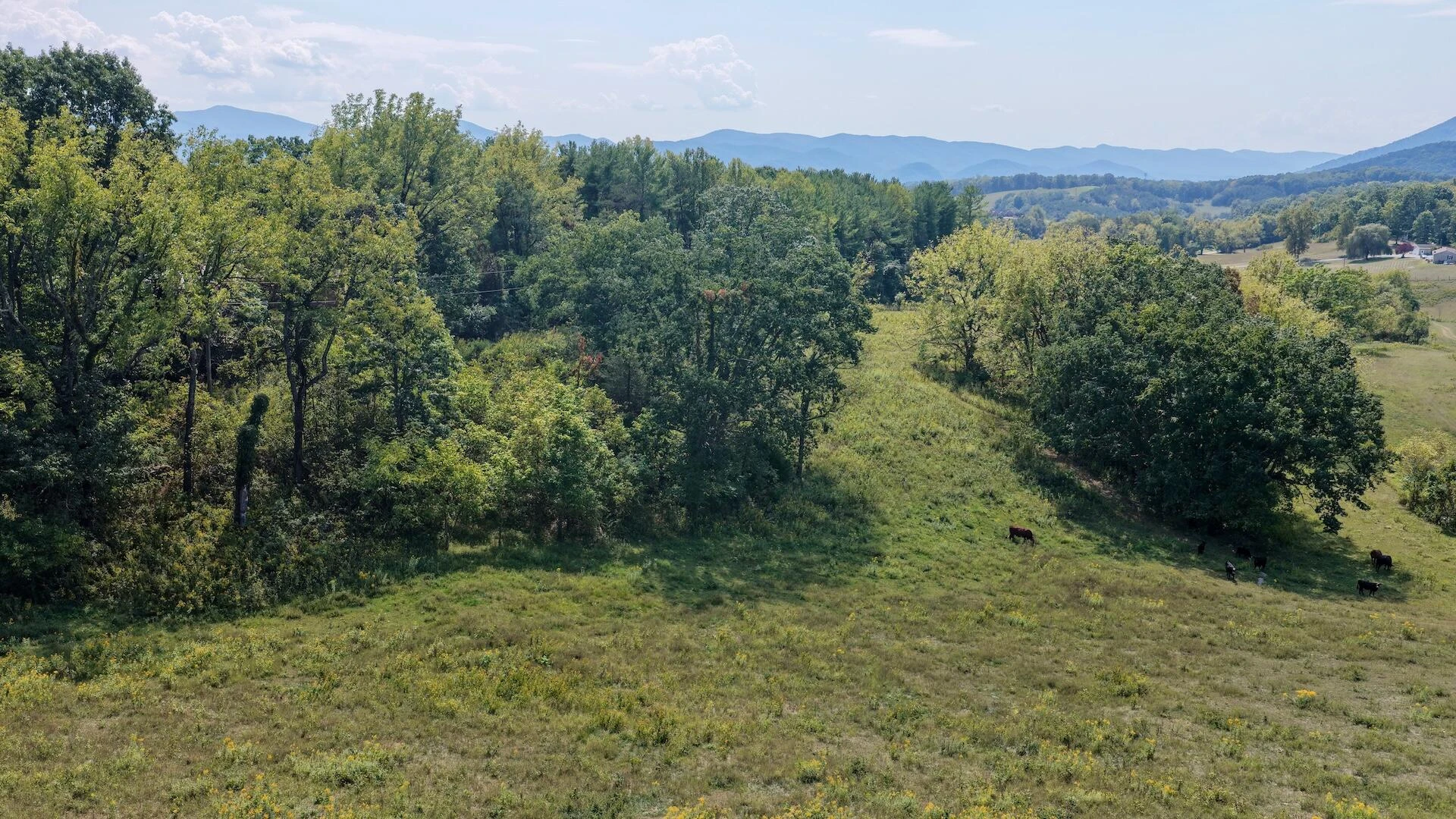 576 Alpine RD - Photo 75