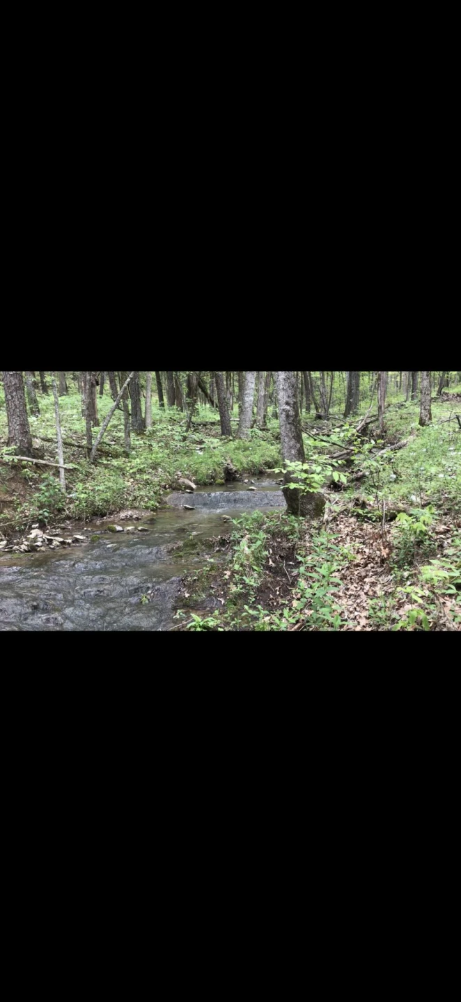 576 Alpine RD - Photo 96