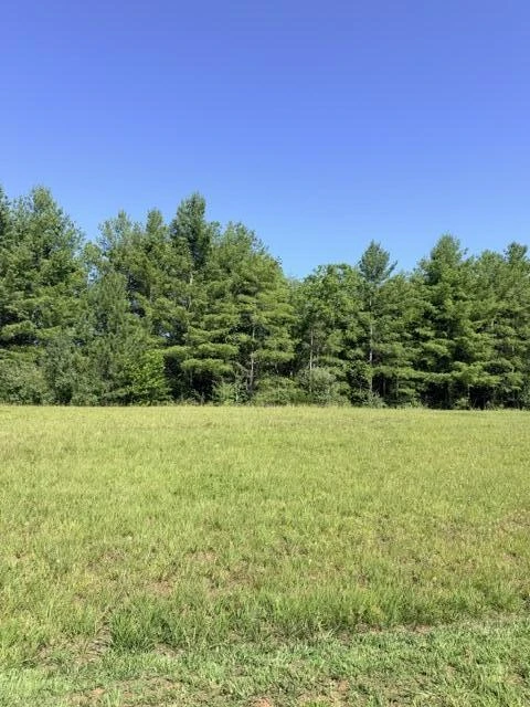 0 Pine Watch CIR