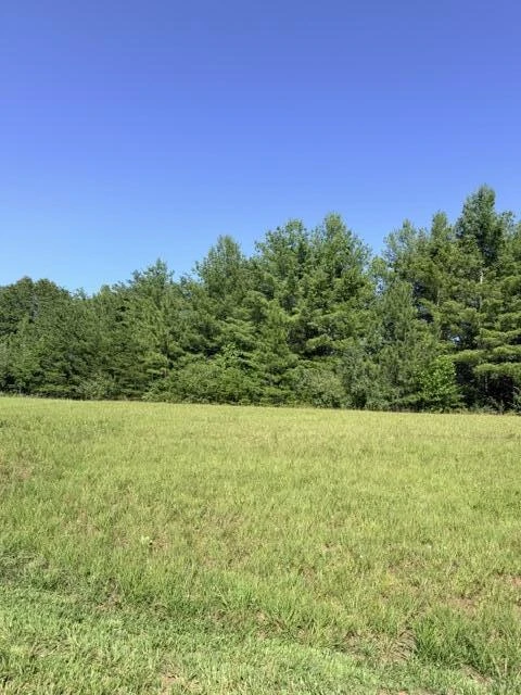 0 Pine Watch CIR - Photo 2