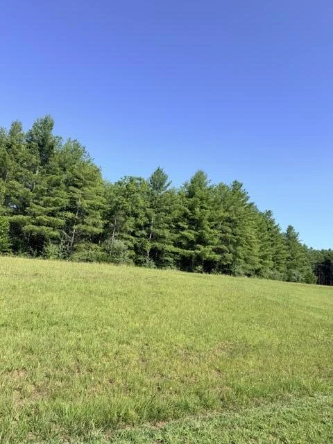 0 Pine Watch CIR - Photo 3