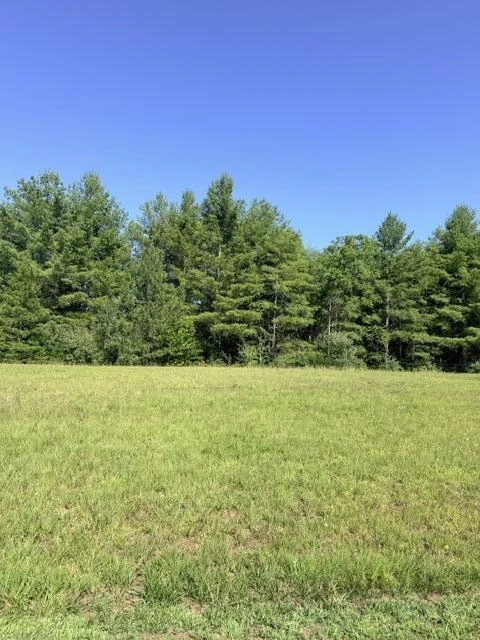 0 Pine Watch CIR - Photo 4