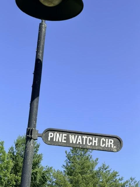 0 Pine Watch CIR - Photo 5