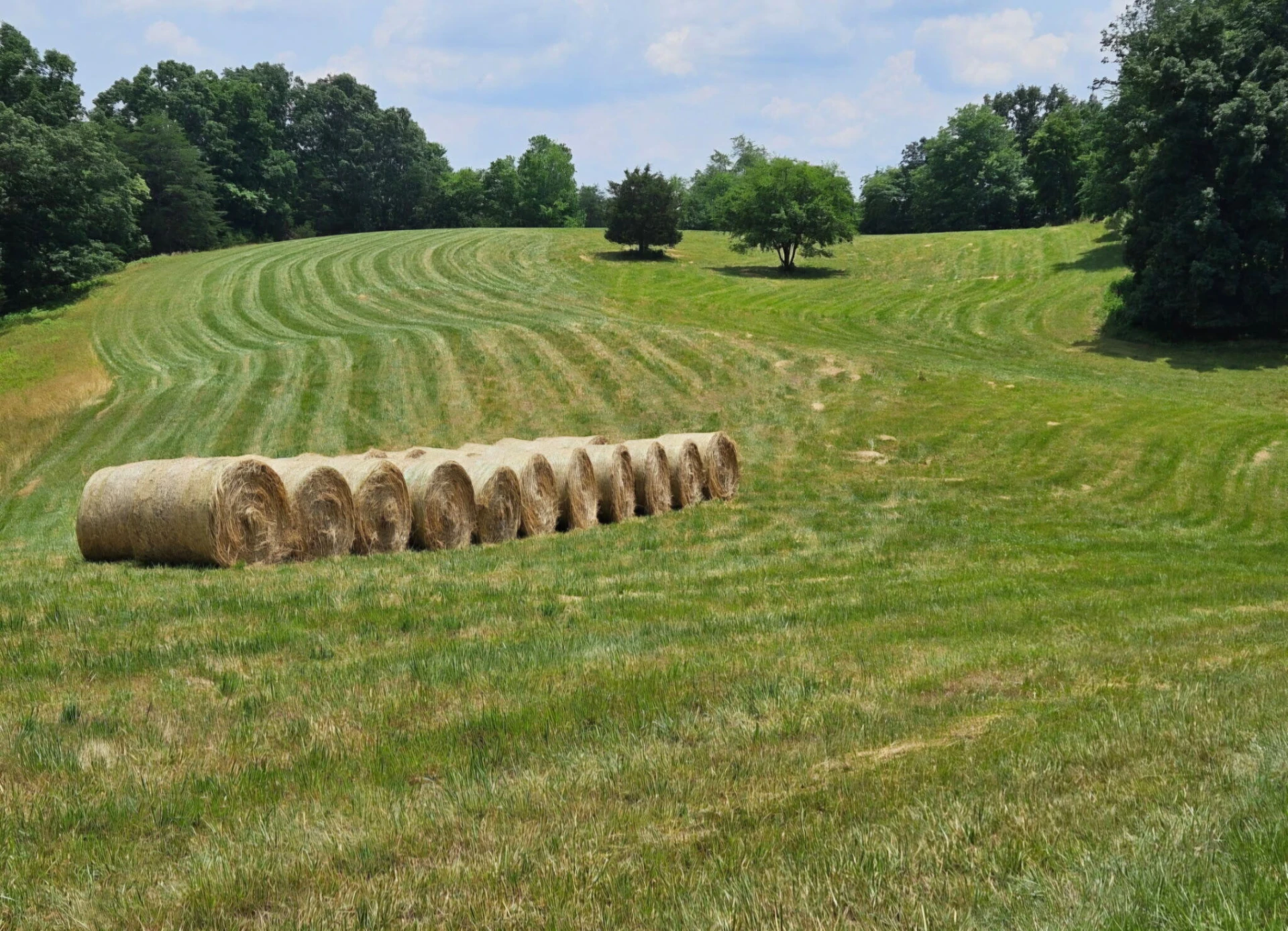 280 Booth RD - Photo 45