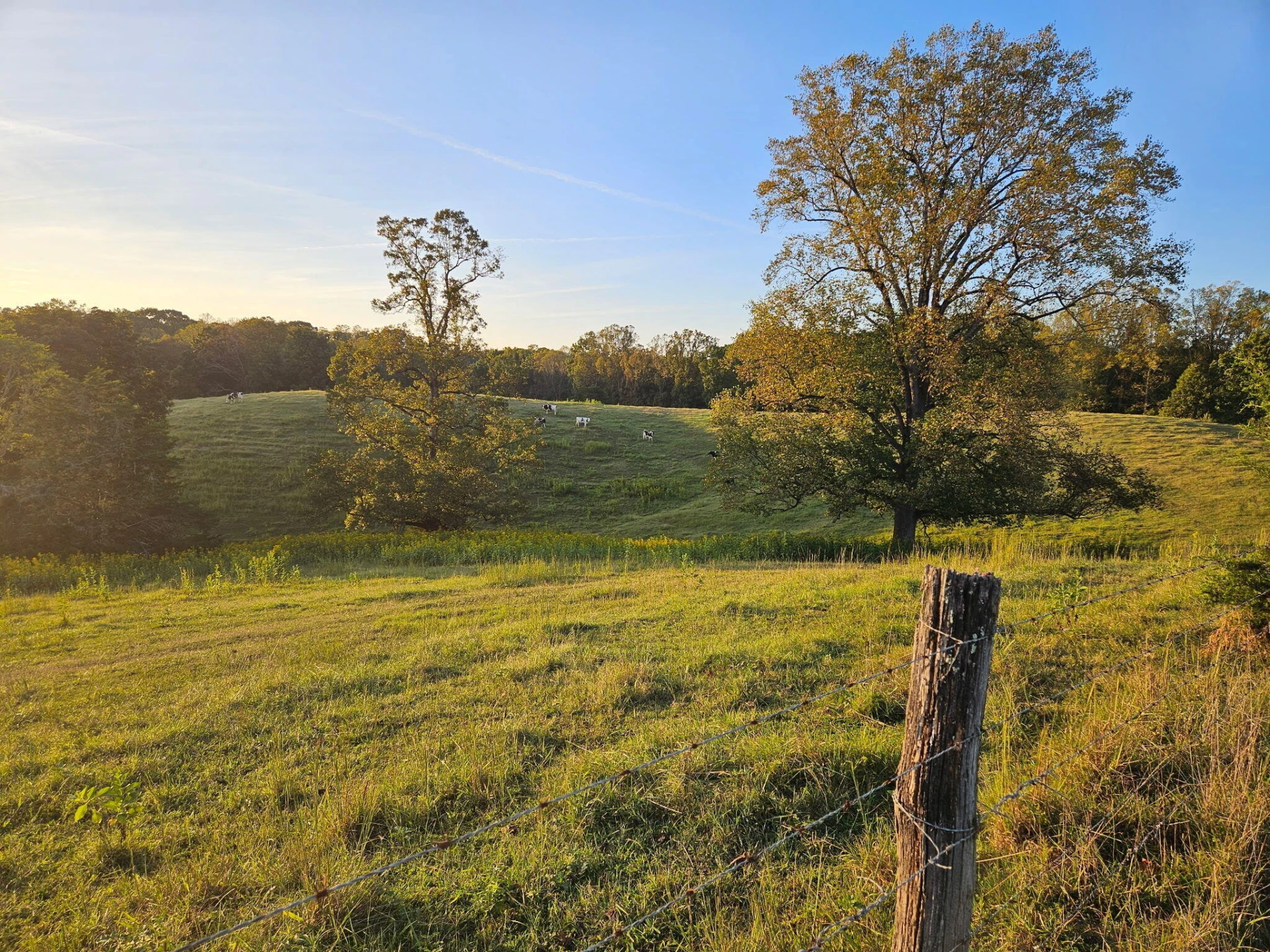 280 Booth RD - Photo 53